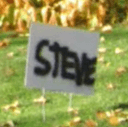 STEVE