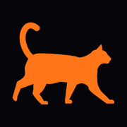 Pumpkin's Pool ❤️