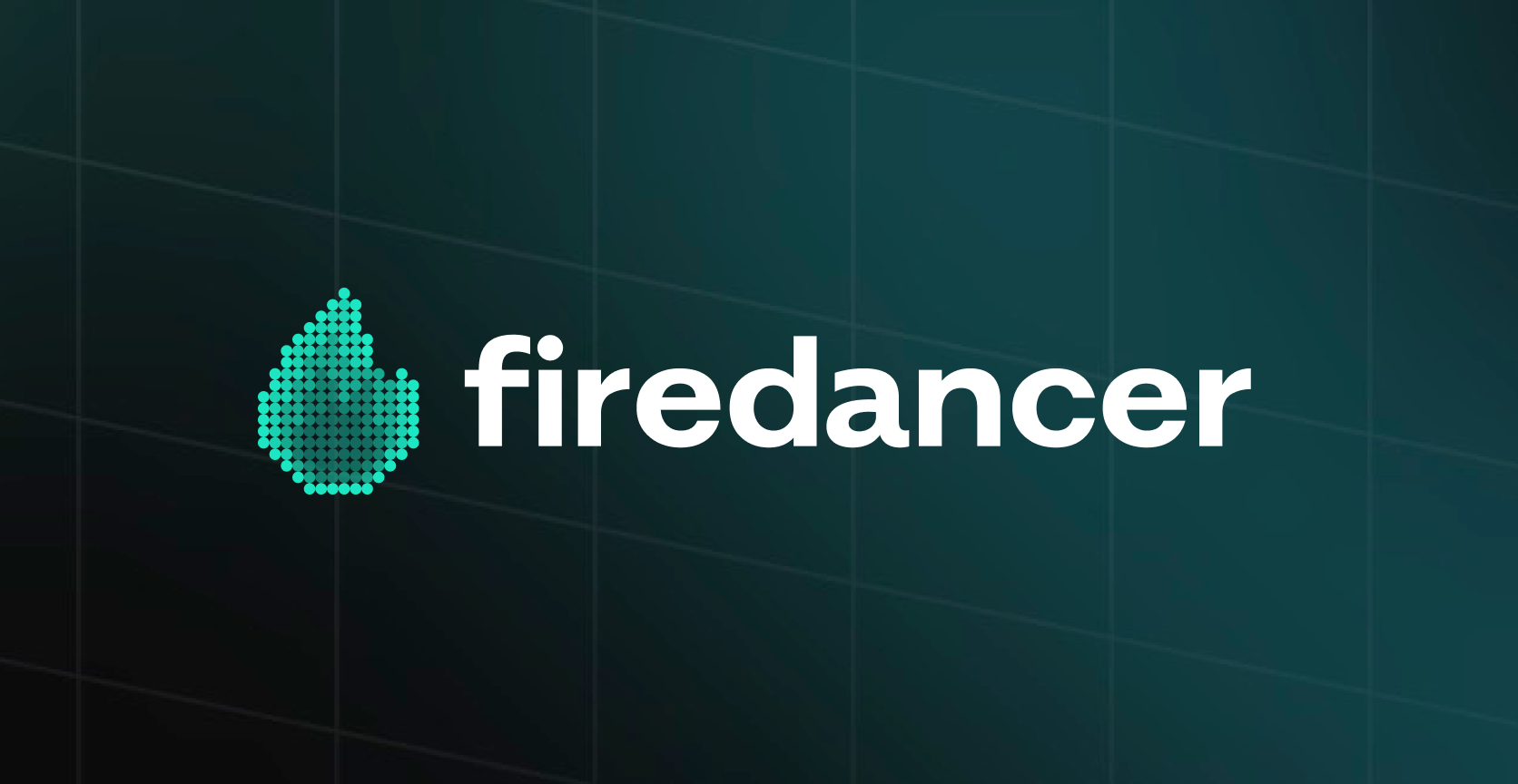 Introducing the Firedancer Delegation Program